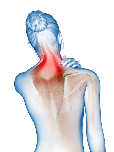 Inflammation and pain in muscles and joints - the reason for using Motion Energy