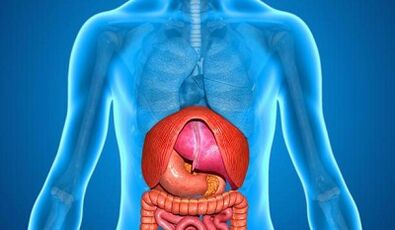 Diseases that cause pain in the lower back